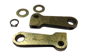 APE214 CAM FLOWER SET OF 2 APE
