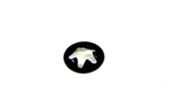 APE449 BRAKE SHOE PIN STAR LOCK APE
