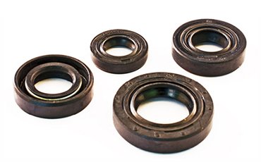 kit oil seal